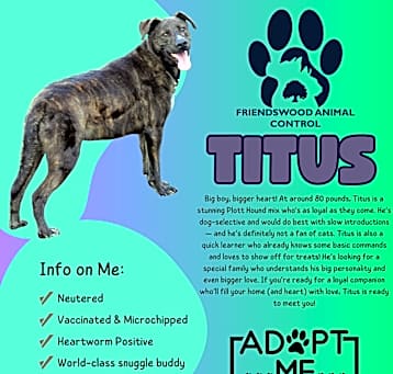 Photo of Titus