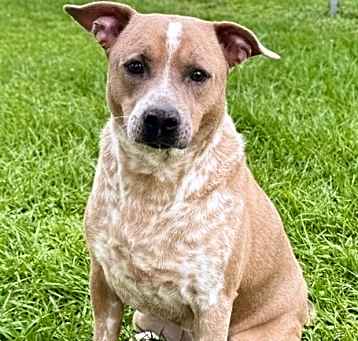 Photo of Tucker