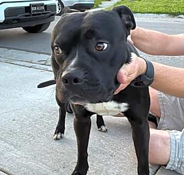 Photo of Diesel 
