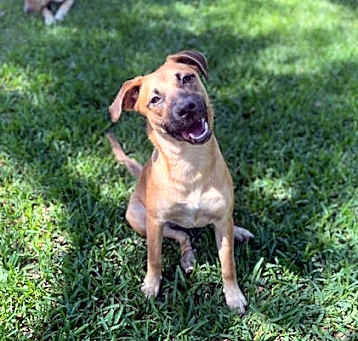 Photo of Daffy