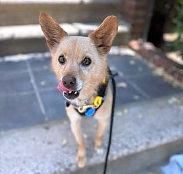Photo of Wawa