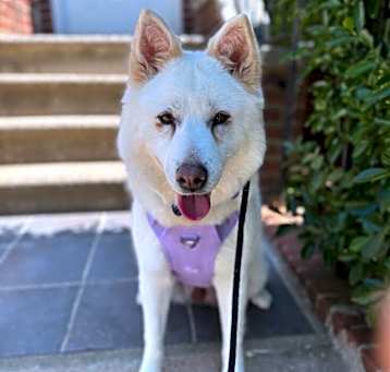 Photo of Happy