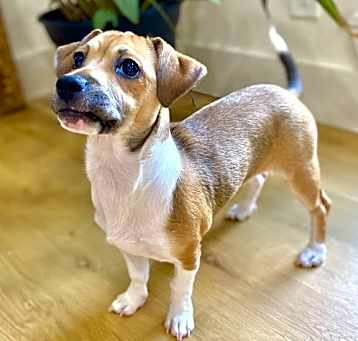 Photo of Little Bit