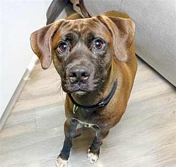 Photo of DUKE