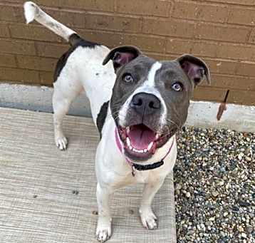Photo of CHARM
