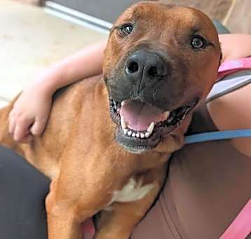 Photo of Knox