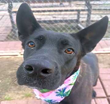 Photo of GHOST