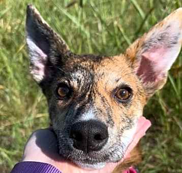 Photo of Marcie