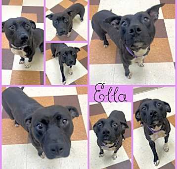 Photo of Ella