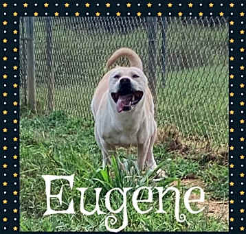 Photo of Eugene