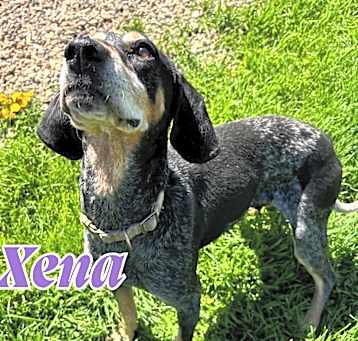 Photo of Xena