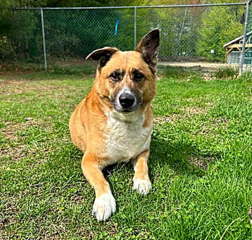 Photo of Delilah