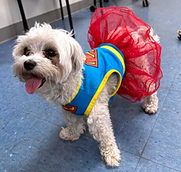 Photo of Tilly