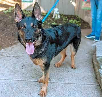 Photo of Twyla