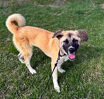Photo of Coco