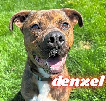 Photo of Denzel
