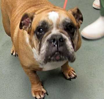 Photo of Hilda