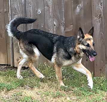 Photo of Ruby