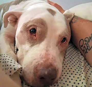 Photo of JAX