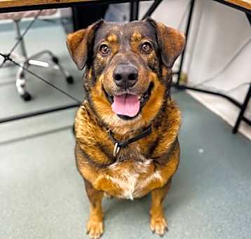 Photo of Sadie Mae
