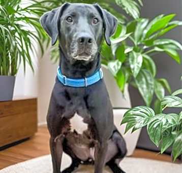 Photo of Cash
