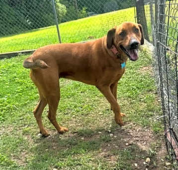 Photo of Ellie Mae