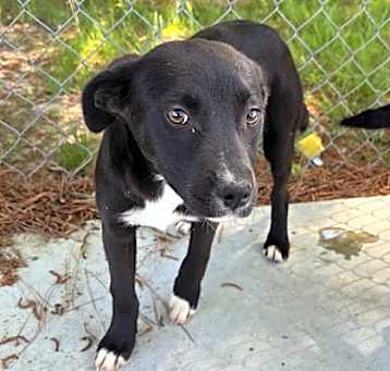 Photo of Boo 25-D0185