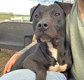 Photo of Maverick