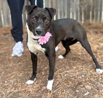 Photo of Spunky