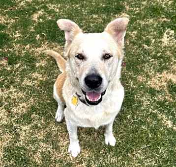 Photo of Marleigh aka Penelope
