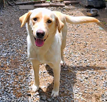 Photo of Sadie