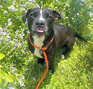 Photo of Waylon