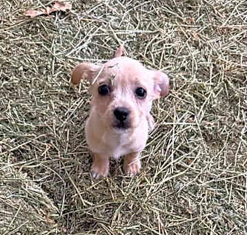 Photo of Mateo