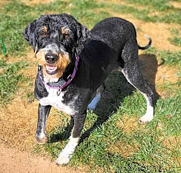 Photo of Berta