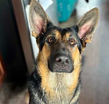 Photo of Skye