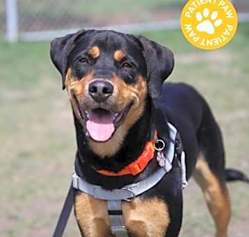 Photo of Bella Bo-Ella