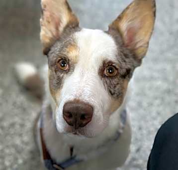 Photo of Tracker