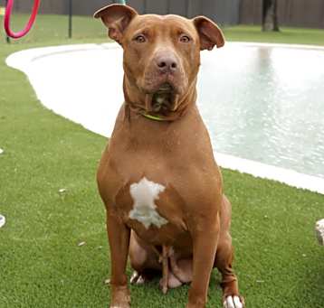 Photo of Holly