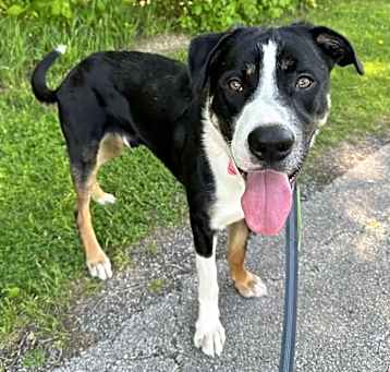Photo of Malachi