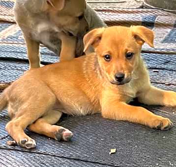 Photo of Zelda