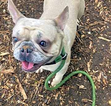 Photo of Lila