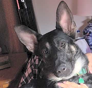 Photo of Asia-Kei Von Ehren Bach (Asia-nicknamed)
