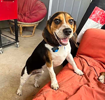 Photo of Lefty