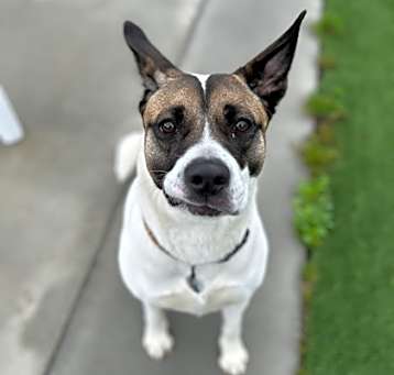 Photo of Athena