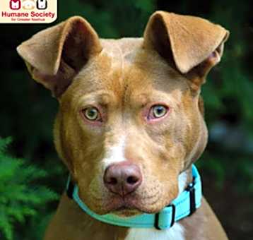 Photo of Emerald
