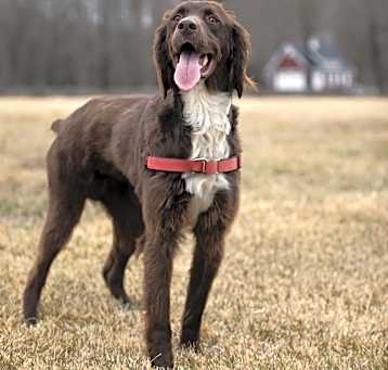 Photo of Beasley - Local