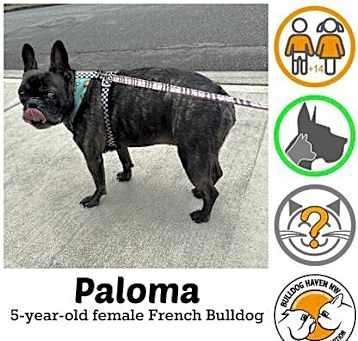 Photo of Paloma (and Mateo)
