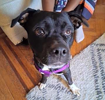 Photo of Cassie