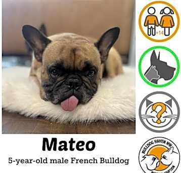 Photo of Mateo (and Paloma)