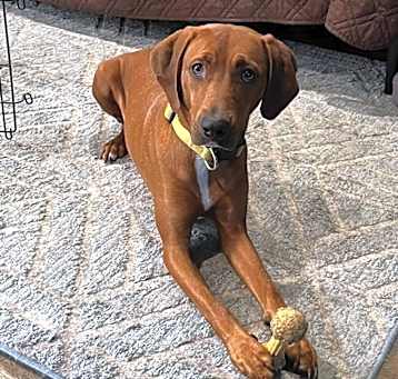 Photo of Abby